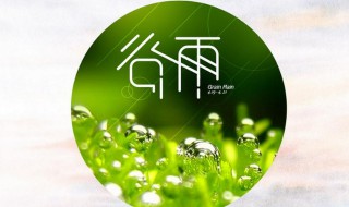 谷雨适合吃什么菜（谷雨吃什么菜好）