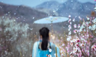 梦见花瓣雨是什么意思（梦见雨中的花）