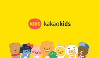 kakao輸入手機號無法連接服務(wù)器 kakao注冊手機號不能用