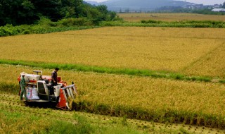 日本種植業(yè)發(fā)展的有利因素是（日本種植業(yè)發(fā)展的有利因素是哪些）