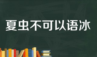 夏蟲不可語冰怎么回擊（夏蟲不可語冰怎么用）