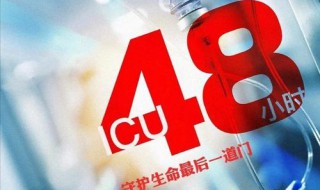 icu48小时小说大结局 icu48小时作者