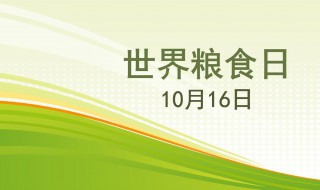 每年10月16日是什么節(jié)日