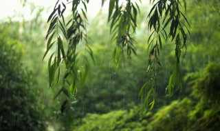 梅雨季节怎么保持室内干燥（梅雨季节怎么保持室内干燥温度）