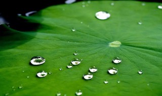 梅雨季节家里潮湿怎么办（梅雨季节家里潮湿怎么办超级严重）