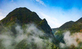 山高路遠什么意思 我只剩玫瑰一片 此行又山高路遠什么意思