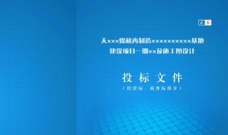 投標(biāo)書計算錯誤的修正原則 投標(biāo)書計算錯誤的修正原則有哪些