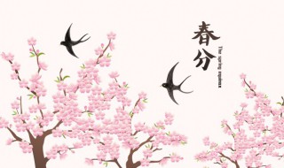 春分節(jié)氣經(jīng)典祝福語(yǔ)精選 有關(guān)春分節(jié)氣的祝福語(yǔ)范例