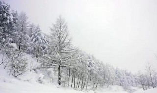 梦见雪花飘是什么征兆 梦见雪花飘是什么征兆周公解梦