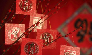 春节拜年送什么好（拜新年一般送啥比较好）