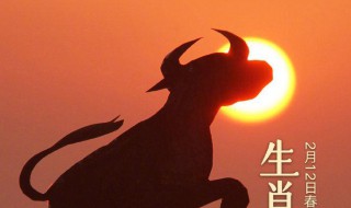 2021年犯太歲最兇的四大生肖 2021年犯太歲最兇的四大生肖怎么化解