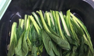 遲菜心和菜心的區(qū)別 遲菜心和菜心的區(qū)別對(duì)比