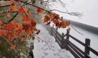 秋天下雪的唯美短句（秋天下雪的唯美短句图片）