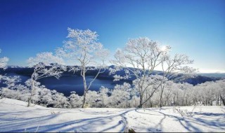 积雪对农作物保温作用的原理 积雪对农作物保温作用的原理是什么