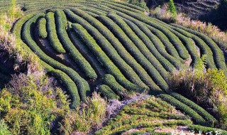 農(nóng)田灌溉水泵的種類 水泵的種類和圖片