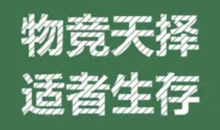 物竞天择适者生存是谁说的 物竞天择适者生存是谁说的话