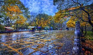 俗语一场秋雨一场寒有科学依据吗（俗语一场秋雨一场寒有科学依据吗 蚂蚁）