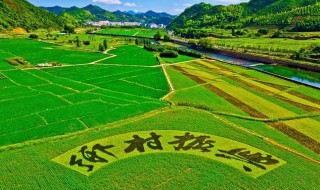 乡村振兴包括哪五个方面的振兴（供电所乡村振兴包括哪五个方面的振兴）