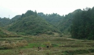 怎样看阴宅风水宝地（怎么看阴宅风水宝地）