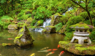 庭院鱼池风水讲究与禁忌（家庭庭院建鱼池的禁忌有哪些）