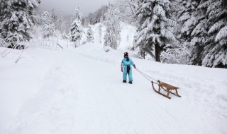 给小朋友解释雪的形成（雪孩子写出了雪的什么?）