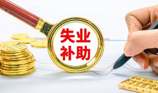 再次失業(yè)有沒有失業(yè)補助金（再次失業(yè)可以領取失業(yè)補助金嗎）