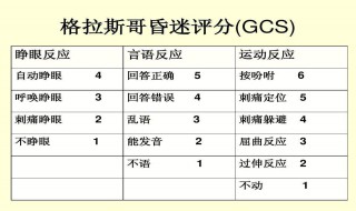 gcs评分标准（gcs评分标准昏迷分级）