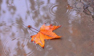 大年初七下雨意味什么 大年初三下雨预示什么