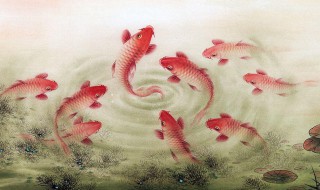 什么人不宜掛九魚圖（九魚圖最忌諱的地方）