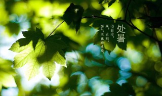 三伏天后是什么节气 三伏天后的节气