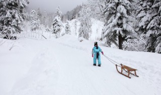 滑板和滑雪单板有什么区别（滑板和滑雪单板有什么区别图片）