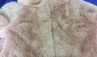 環保貂皮跟真貂皮區別（環保貂皮跟真貂皮區別在哪）