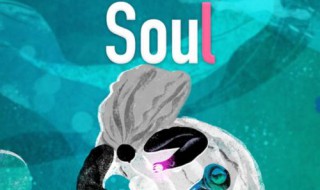 soul獲取失敗怎么回事 soul獲取不了驗證碼怎么辦