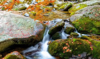 小河流水摄影技巧 小河流水照片