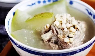 薏仁綠豆鴨湯（綠豆薏仁水鴨湯）