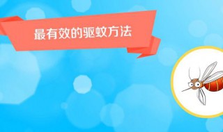 室外驱蚊最有效的方法 室外驱蚊最有效的方法是什么