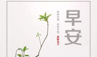 早安励志正能量句子（早安励志正能量句子带有精美图片）