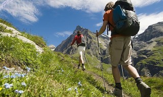 如何选择适合的登山杖（如何选择适合的登山杖材质）