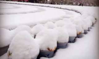 雪融化時(shí)為什么會(huì)冷 為什么雪融化的時(shí)候比下雪時(shí)冷