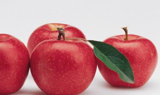 苹果是否可以煮吃 苹果可以煮着吃吗煮着吃的作用
