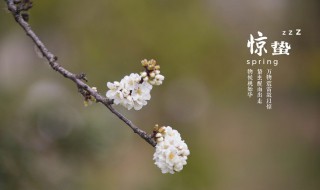 惊蛰前打雷都有些什么说法（惊蛰前打雷好不好）