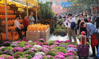 迷迭香花语是什么意思（迷迭香花语是什么意思啊）