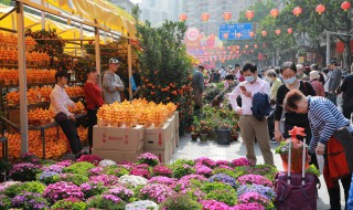 春天红色的植物有哪些（春天红色的植物有哪些名字）