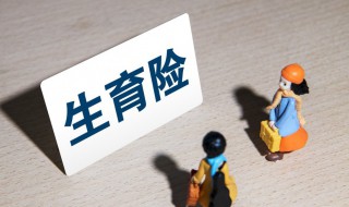 生育险和生育津贴是一回事吗（男方生育险和生育津贴是一回事吗）