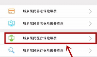 手机怎么交医保（手机怎么交医保缴费）