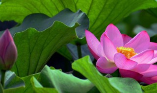 六月份七月份是什么季节 六月份到七月份是什么节气