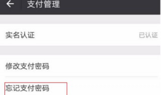怎么查看微信支付密码（微信打开钱包怎么设置密码）