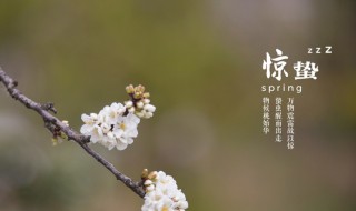 驚蟄節(jié)氣的特點和風俗是什么 螞蟻莊園驚蟄節(jié)氣的特點和風俗是什么