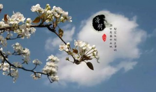 清明节要干什么 清明节要干什么吃什么