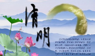 清明節(jié)吃什么蔬菜養(yǎng)生 清明節(jié)吃哪些菜